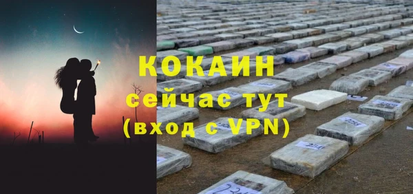 PSILOCYBIN Бородино